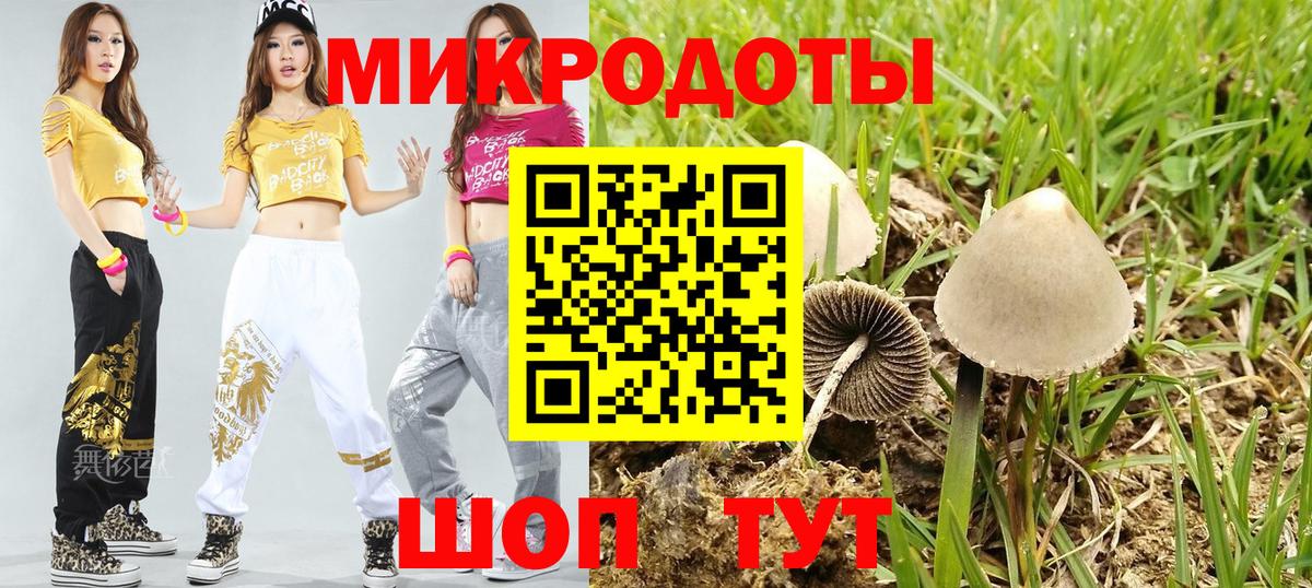 Псилоцибиновые грибы Magic Shrooms Клин