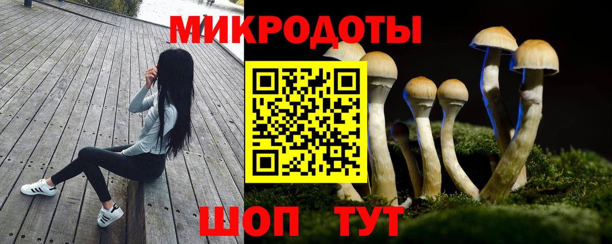 закладка  Вход с VPN  Галлюциногенные грибы ЛСД  Клин  Псилоцибиновые грибы Psilocybe 